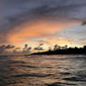 Meet your Posher, Elsa